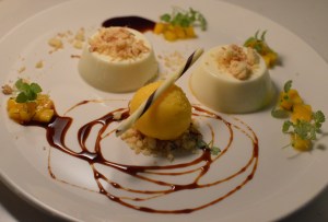 Coconut panna cotta w palm sugar caramel, mango, coriander salsa & mango sorbet