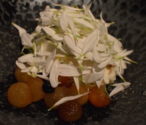 Fresh curd ice cream & blueberries