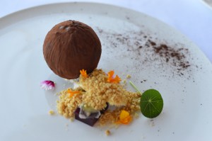 Coconut on the beach