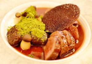 Spiced venison leg w chocolate gnocchi, pea powder & king brown mushrooms
