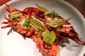 marron, young coconut, koji butter